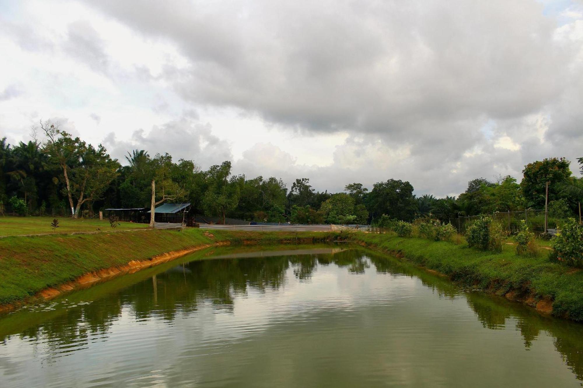 Savanna Hill Resort Ulu Tiram Exterior photo